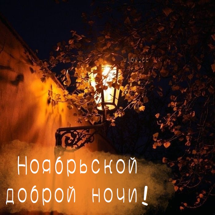 Доброй ноябрьской ночи.